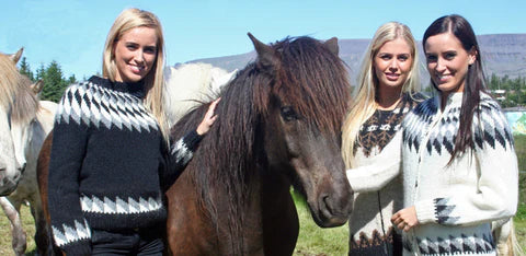 Icelandic Sweater Collection Sale