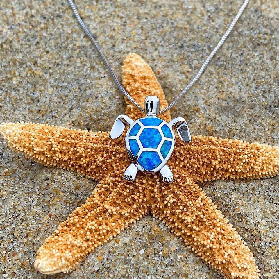 Set Sea Turtle in Rosendal